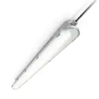 Philips Stagna LED CoreLine WT120C G2 42.9W 6000lm - 840 Bianco Freddo | 150cm 